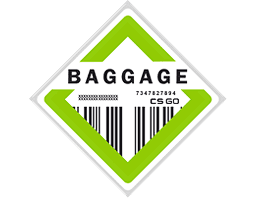 The Baggage Collection logo