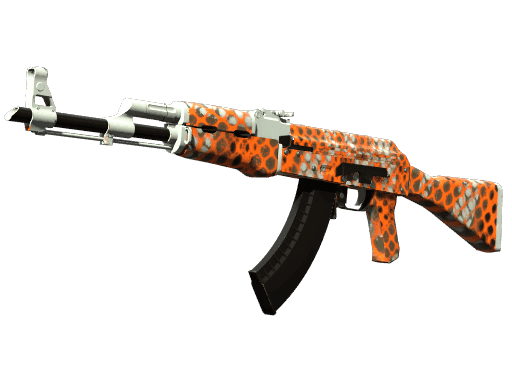 AK-47 | Safety Net