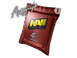 Image of an item