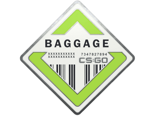 Baggage Pin