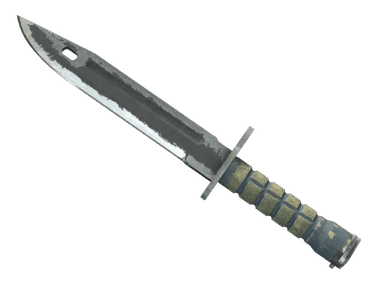 ★ Bayonet | Night (Battle-Scarred)