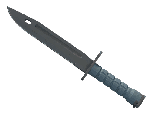 ★ StatTrak™ Bayonet | Night (Factory New)