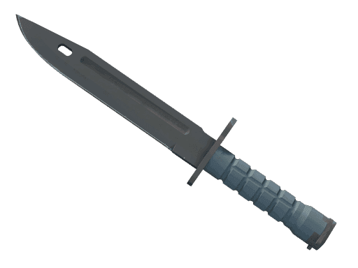 ★ StatTrak™ Bayonet | Night (Minimal Wear)