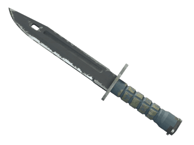 ★ Bayonet | Night (Well-Worn)