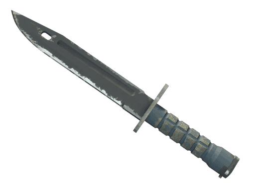 ★ Bayonet | Night (Well-Worn)