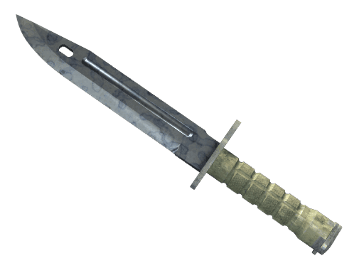 ★ StatTrak™ Bayonet | Stained (Factory New)