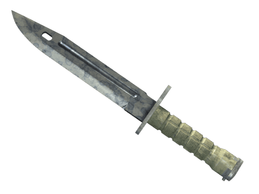 ★ Bayonet | Stained (Field-Tested)
