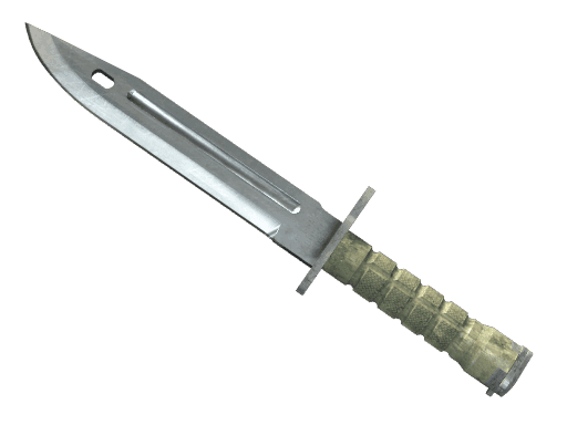 ★ StatTrak™ Bayonet