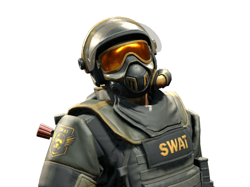 Image of an item