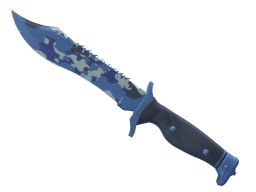 Image of an item