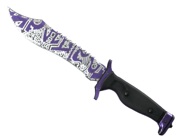 ★ Bowie Knife | Freehand (Well-Worn)