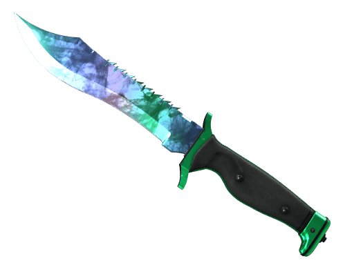 Image of an item