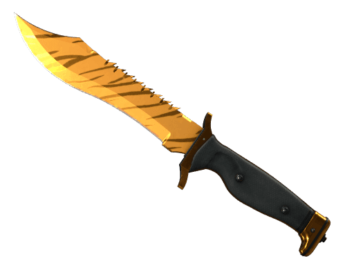 Image of an item