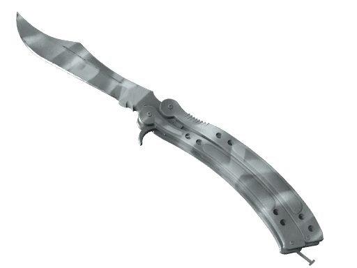 Image of an item