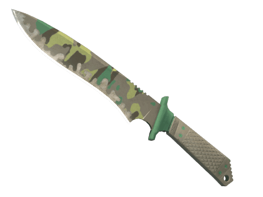 ★ Classic Knife | Boreal Forest (Well-Worn)