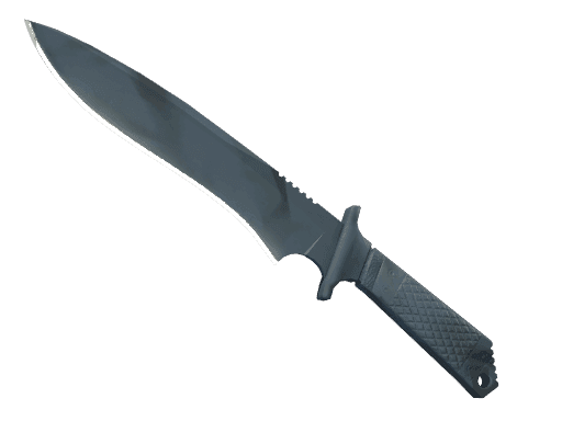 Image of an item