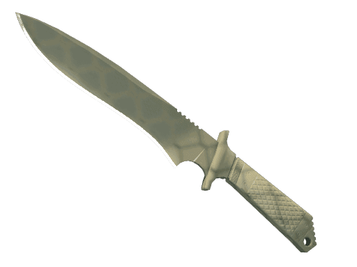 Image of an item