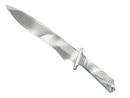 Image of an item