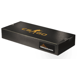 Image of an item