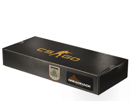 Image of an item