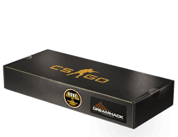 Image of an item
