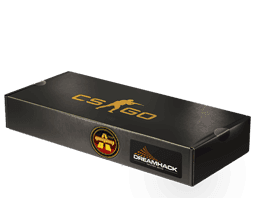 Image of an item