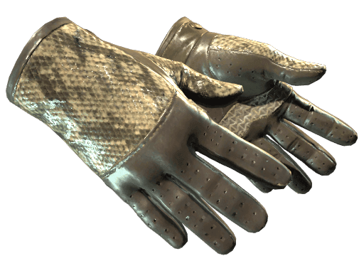 ★ Driver Gloves | Diamondback (Well-Worn)
