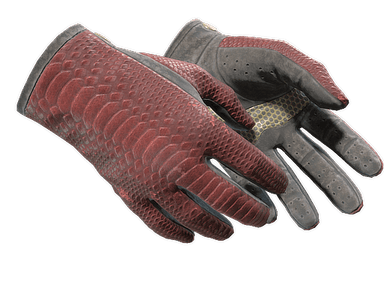 ★ Driver Gloves | Dragon Fists (Well-Worn)