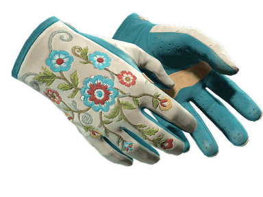★ Driver Gloves | Garden (Well-Worn)
