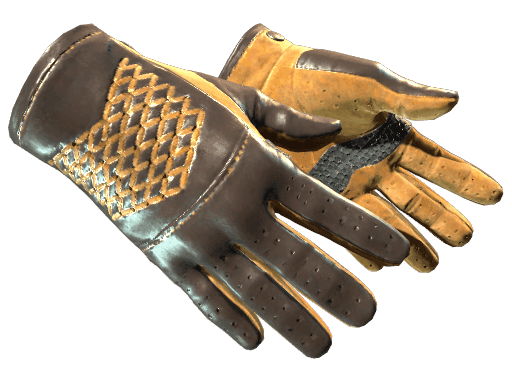 ★ Driver Gloves | Overtake (Factory New)