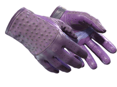 ★ Driver Gloves | Plum Quill (Field-Tested)