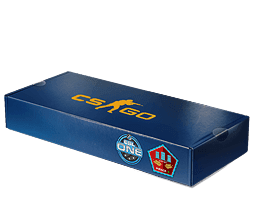 Image of an item