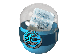 Image of an item