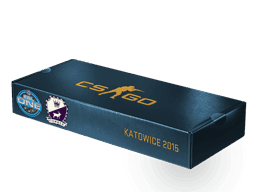 ESL One Katowice 2015 Cobblestone Souvenir Package