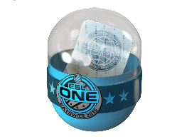 Image of an item