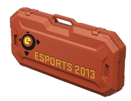 eSports 2013 Case