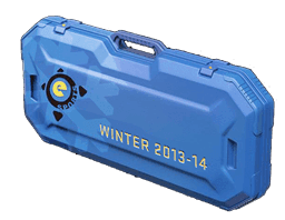 eSports 2013 Winter Case