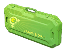 eSports 2014 Summer Case