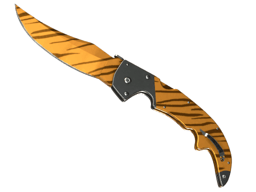 Image of an item