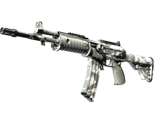 Galil AR | Winter Forest (Well-Worn)