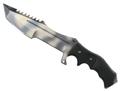 Image of an item