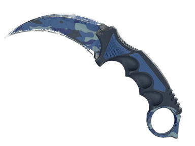 ★ StatTrak™ Karambit | Bright Water (Field-Tested)