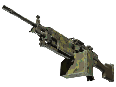 M249 | Jungle DDPAT (Well-Worn)
