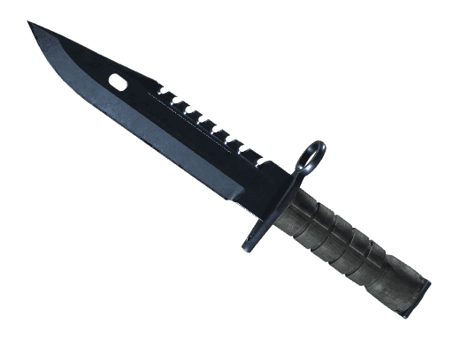 Image of an item