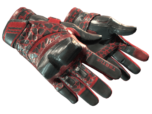 Image of an item