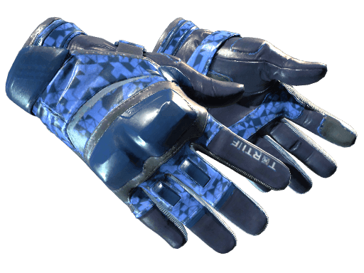 ★ Moto Gloves | Polygon (Factory New)