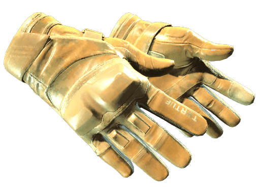 ★ Moto Gloves | Transport (Factory New)