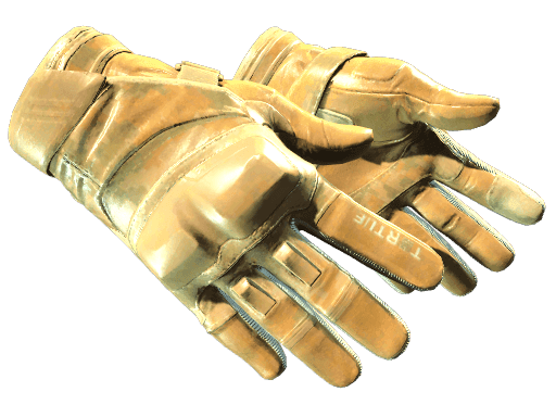 ★ Moto Gloves | Transport (Minimal Wear)