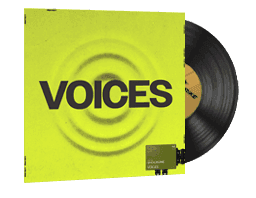StatTrak™ Music Kit | ShockOne, Voices