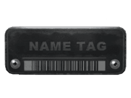Image of an item